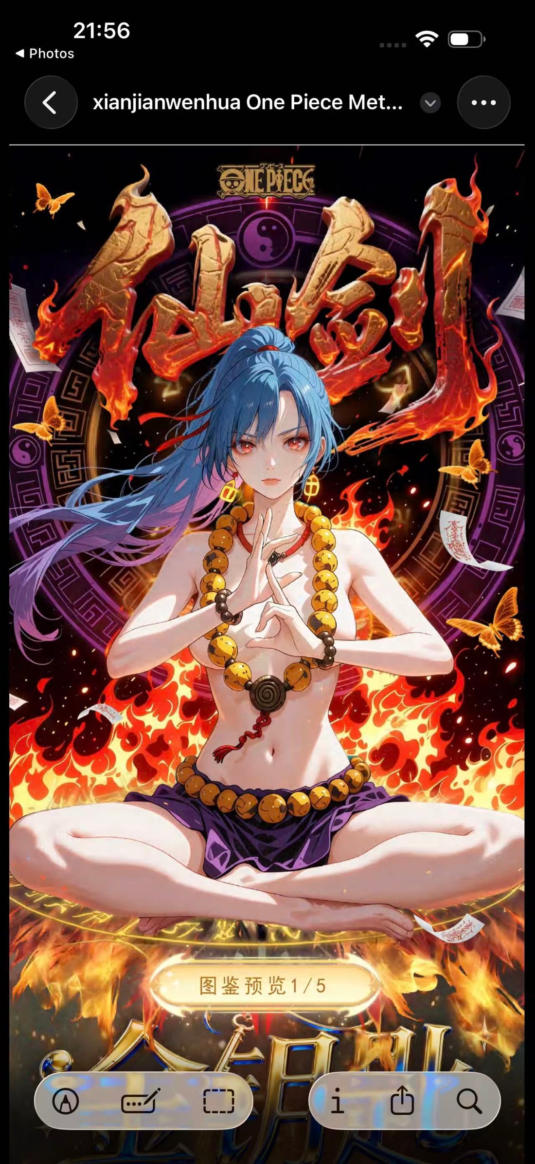 Paladin culture 4 One piece collection